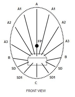 Dạy cắm hoa tại TPHCM